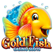 골드피쉬카지노 안전하고 즐거운 온라인 카지노 가이드